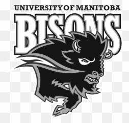 2019 - University Of Manitoba Bisons Png,Ndsu Bison Logos
