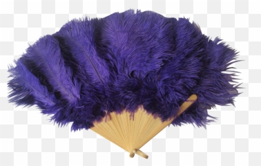 Flapper Feather Png U0026 Free Featherpng Transparent - Fan