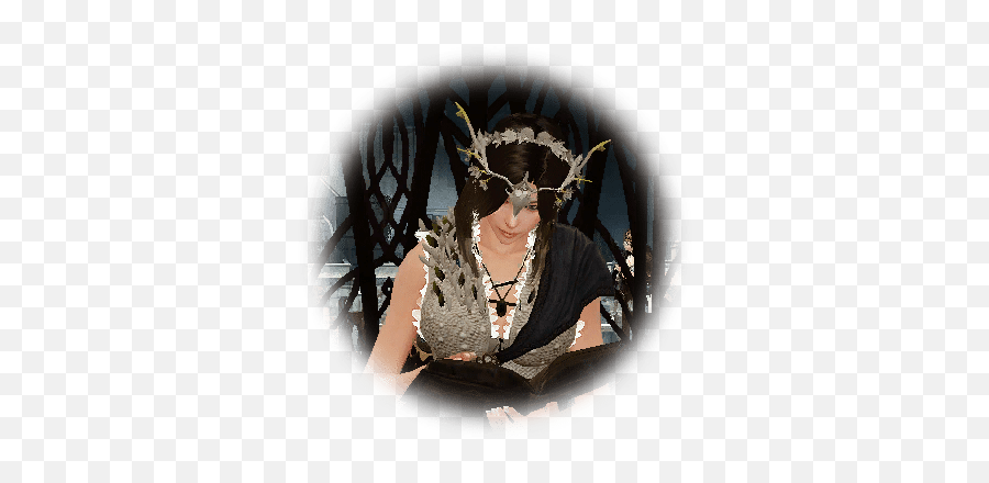 Previs - Bdo Codex Punk Fashion Png,Bdo Guild Icon Size