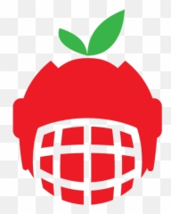 Disclaimer - Hockey Snacks Png,Disclaimer Icon