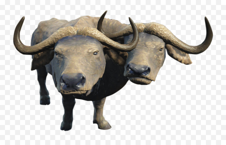 Brahmiluff Fallout Wiki Fandom - Fallout Buffalo Png,Longhorn Cattle Icon