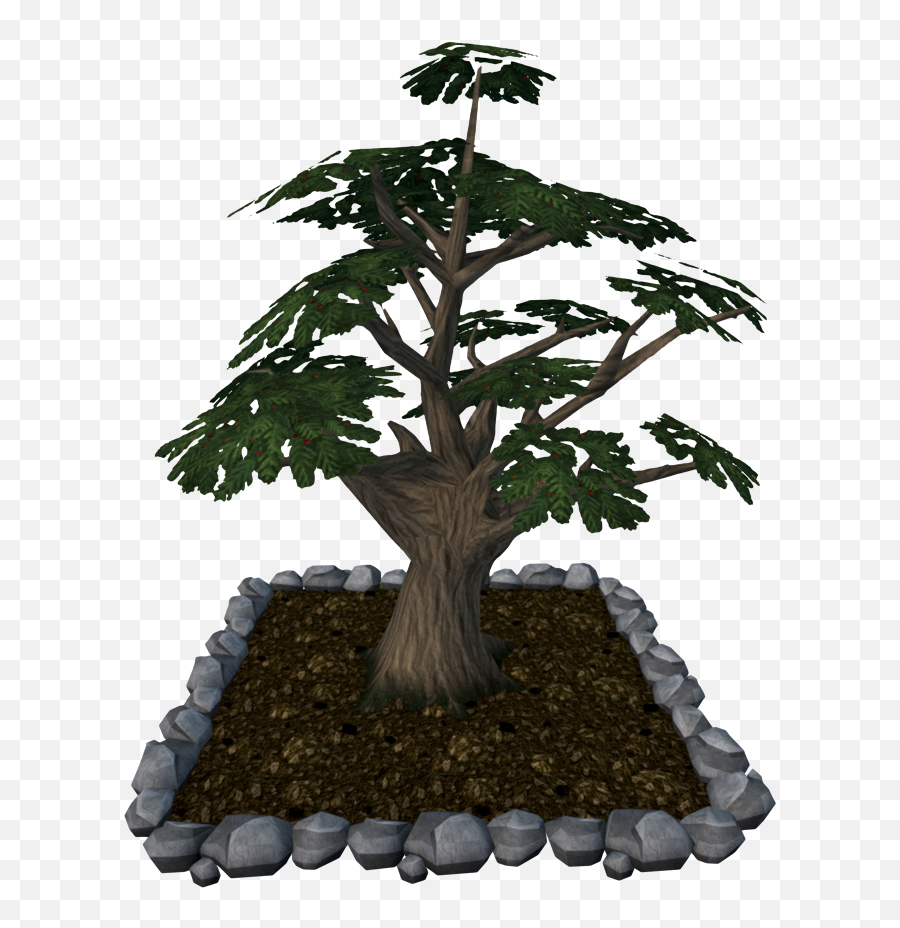 Enchanted Tree - The Runescape Wiki Sageretia Theezans Png,Snowy Trees Png