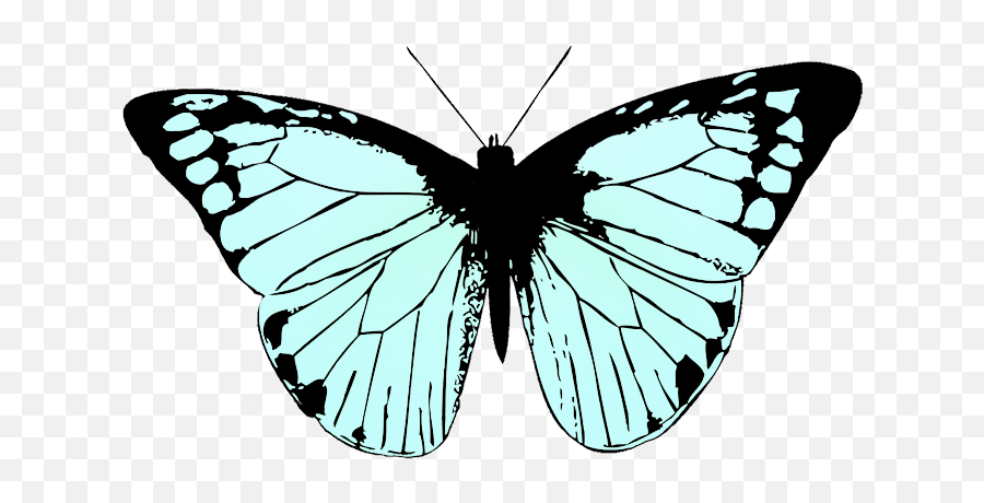 Butterfly Clipart - Butterfly Png Black And White,Blue Butterflies Png