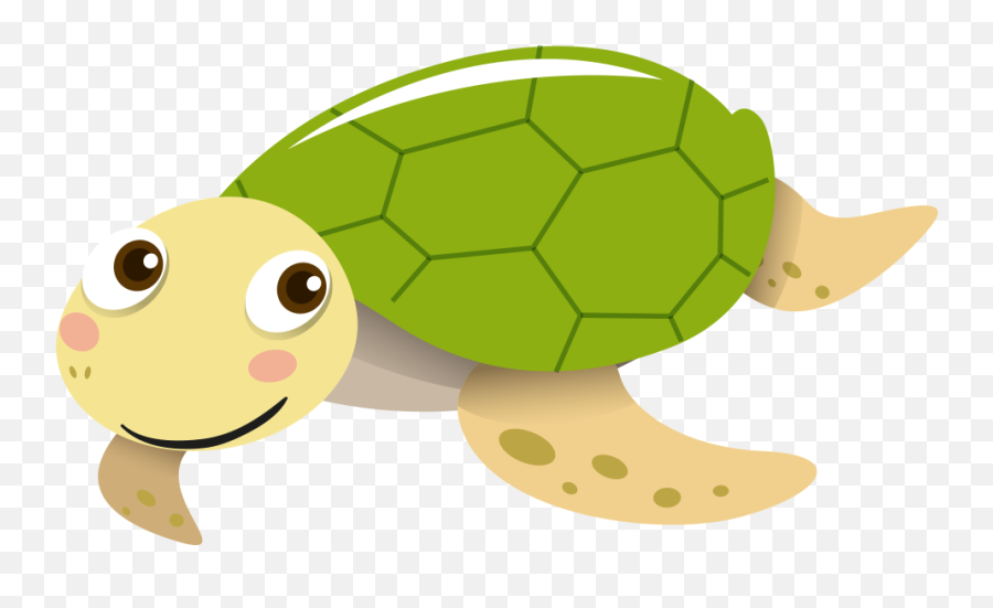 Sea Turtle Tortoise Portable Network - Sea Turtle Cartoon Png,Cute Turtle Png
