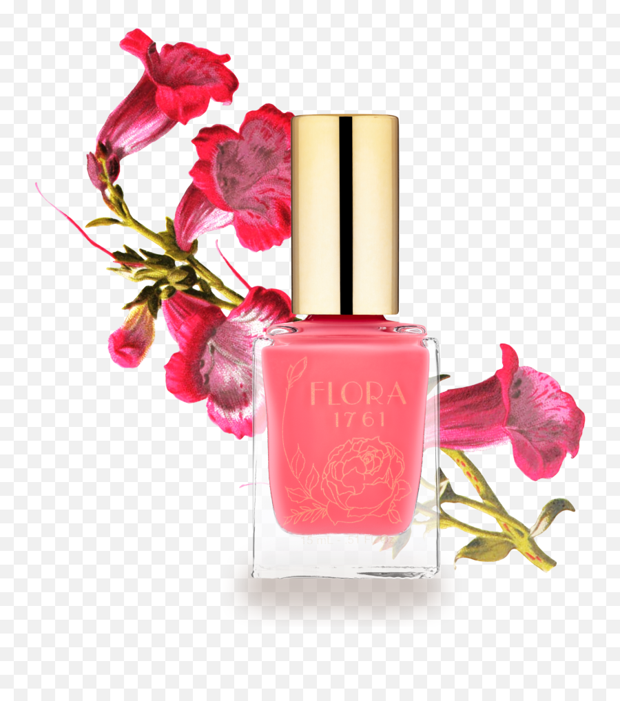 Nail Lacquer In Bougainvillea - Nail Polish Png,Nail Polish Png