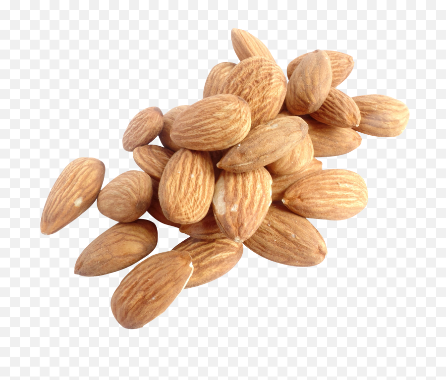 Png Nuts Transparent Clipart Free - Nuts Png,Almonds Png