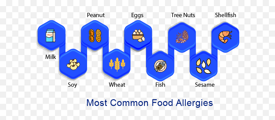 9 Most Common Food Allergies Allergy Market And Key - Vertical Png,Food Allergy Icon