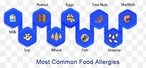 9 Most Common Food Allergies Allergy Market And Key - Vertical png