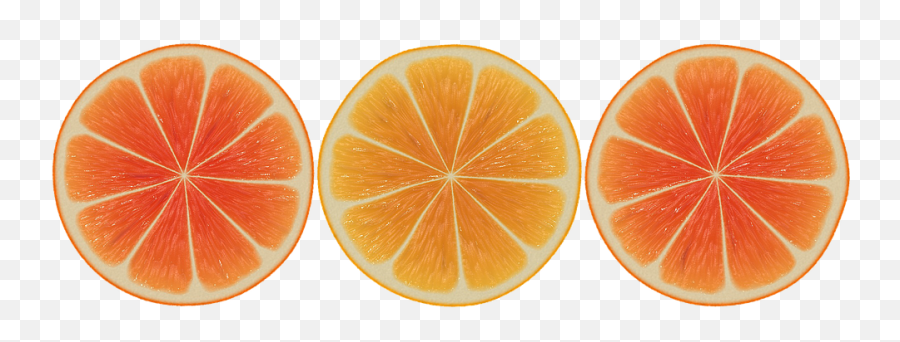 Vector Orange Slices Png Slice