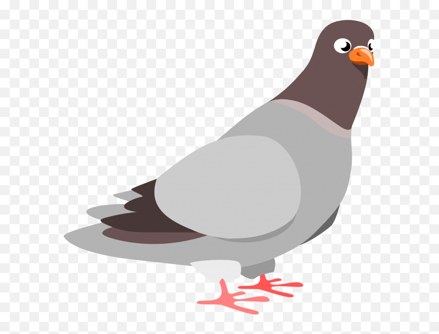 Pigeon Png Sitting 6 Transparent Background Images Free - Pigeon Clipart,Pigeons Png