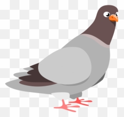 Pigeon Png Sitting 6 Transparent Background Images Free - Pigeon Clipart,Pigeons Png