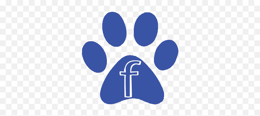 Pet Barn - Small Animal Supplies Color Paw Print Transparent Background Png,Small Facebook Logo