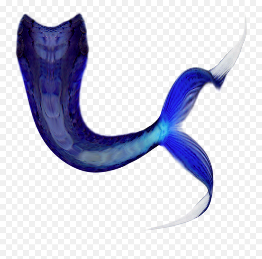 Share This Article Mermaid Tail Brushes Photoshop Full Mermaid Tail For Photoshop Png Mermaid Tail Png Free Transparent Png Images Pngaaa Com - roblox mermaid tail
