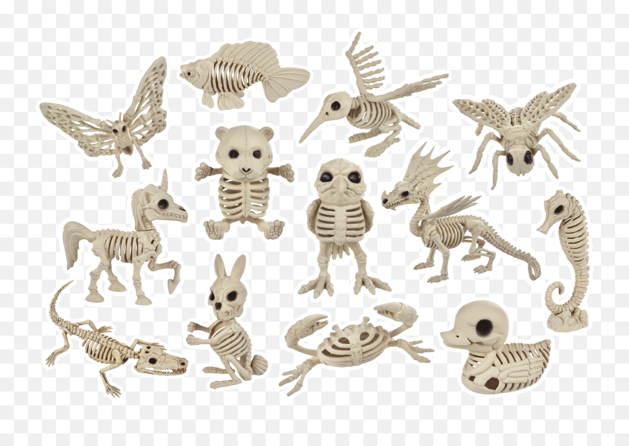 Seasons Usa Incu0027s Crazy Bonez Skeletons - Costumers Today Carving Png,Skeletons Png