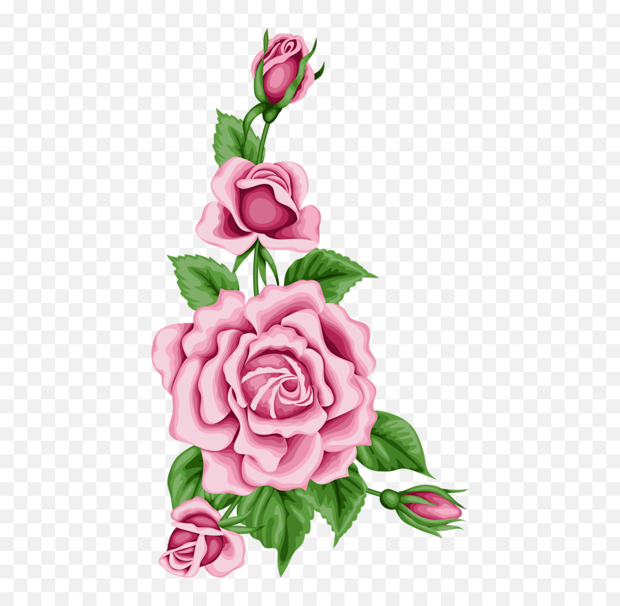 Flower Card With Colorful Roses Png Pinterest - Pink Flower Side Border Design On Paper,Roses Border Png