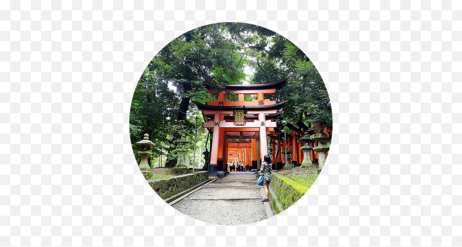 Jonna Sakuranofubuki Twitter - Fushimi Inari Taisha Png,Torii Gate Png