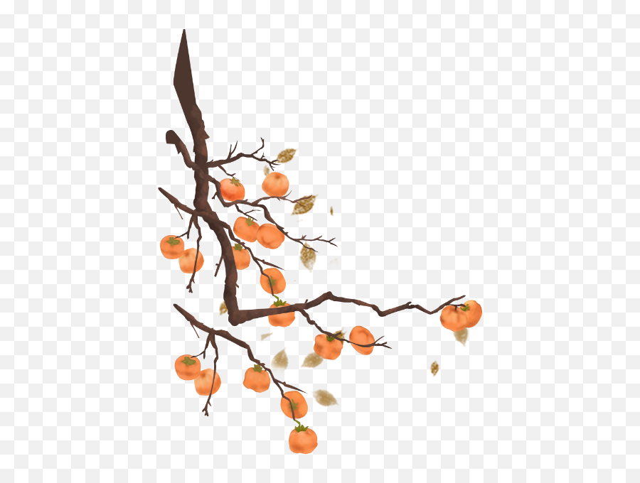 Free Online Persimmon Tree Plant Vector For - Persimmon Tree Vector Png,Tree Graphic Png