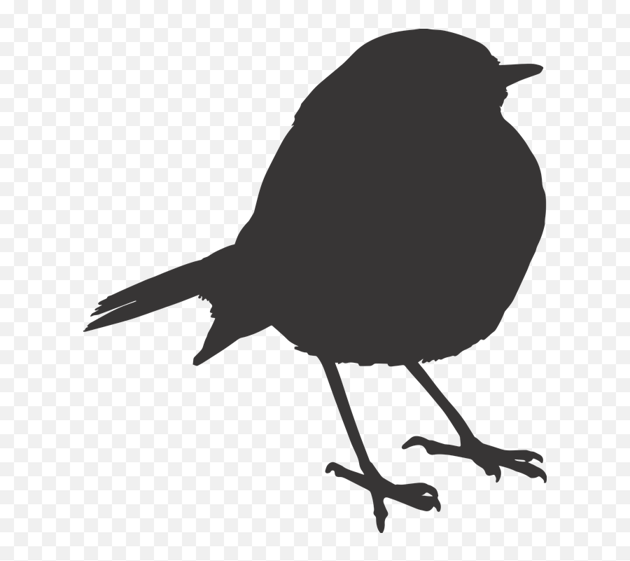 Sparrow Silhouette Png 4 Image Raven