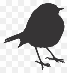 Sparrow Silhouette Png 4 Image