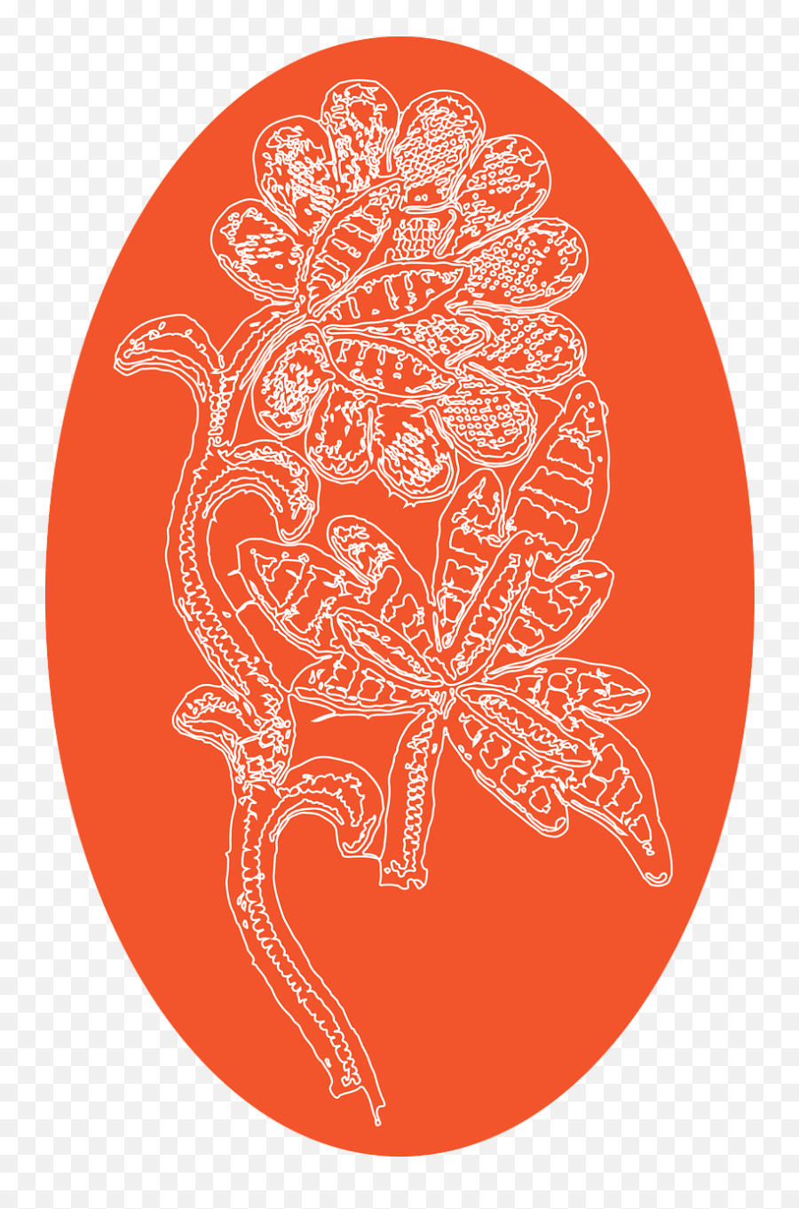 Download Hd Egg Easter Lace - Circle Png,Lace Circle Png