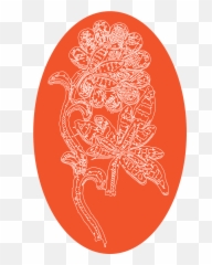 Download Hd Egg Easter Lace - Circle png