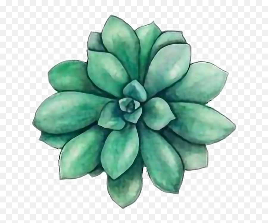 Download Tumblr Flower Garden Girly Cute Green Flowers - Suculenta Draw Png,Cute Cactus Png