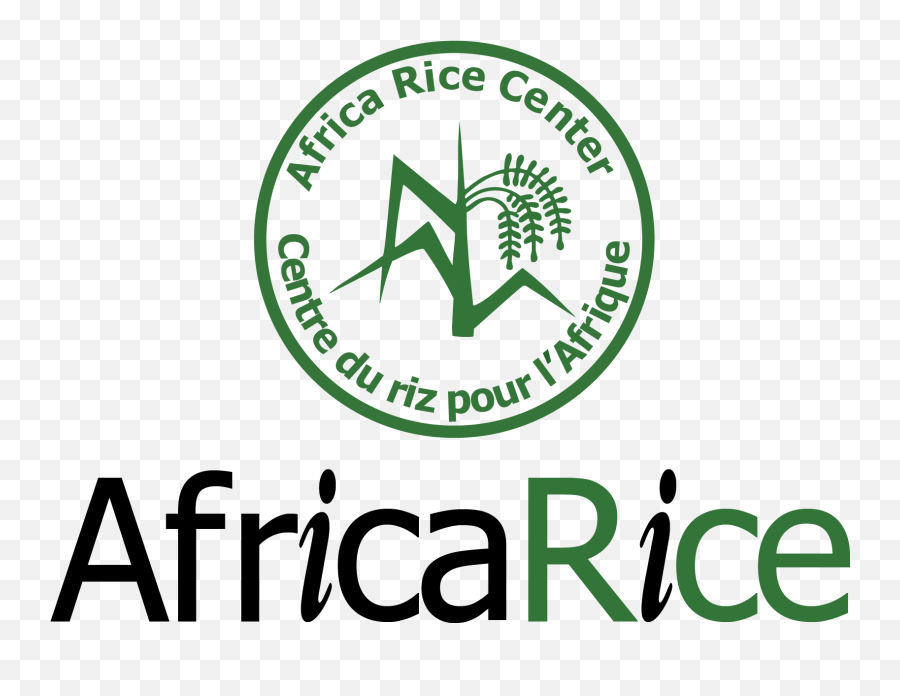 Africa Rice Center - Africa Rice Center Png,Rice Logo