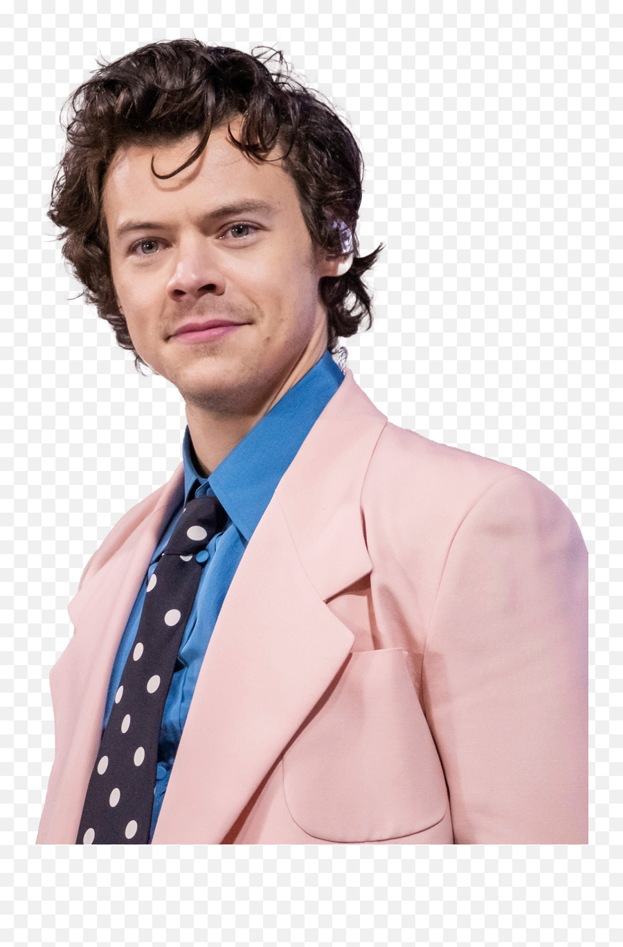 Singer Harry Styles Png Free Image - Harry Styles Shaved Head,Harry Styles Png