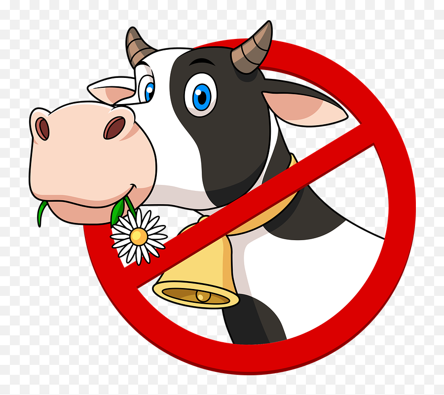 Cow Vegan Animal - Animated Cow Png,Vegan Png
