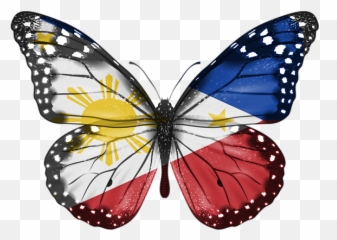 Philippines Throw Pillow For Sale - Desenho De Uma Borboleta Realista Png,Filipino Flag Png