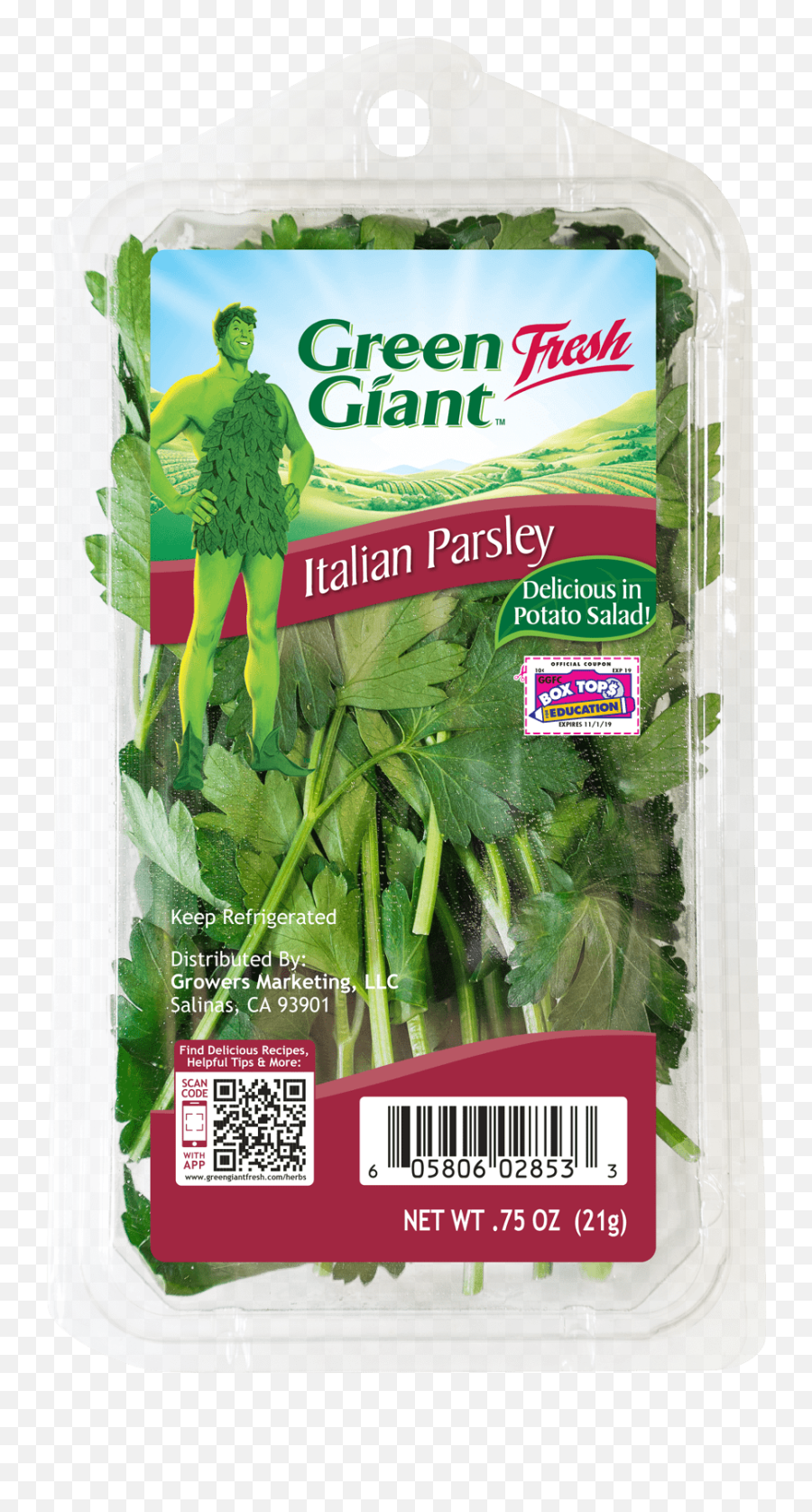 Italian Parsley Green Giant Fresh - Green Giant Png,Parsley Png