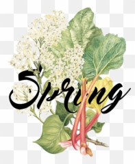 Menus U2014 Fig U0026 Pig Catering - Jo Malone White Lilac Png,Fig Png