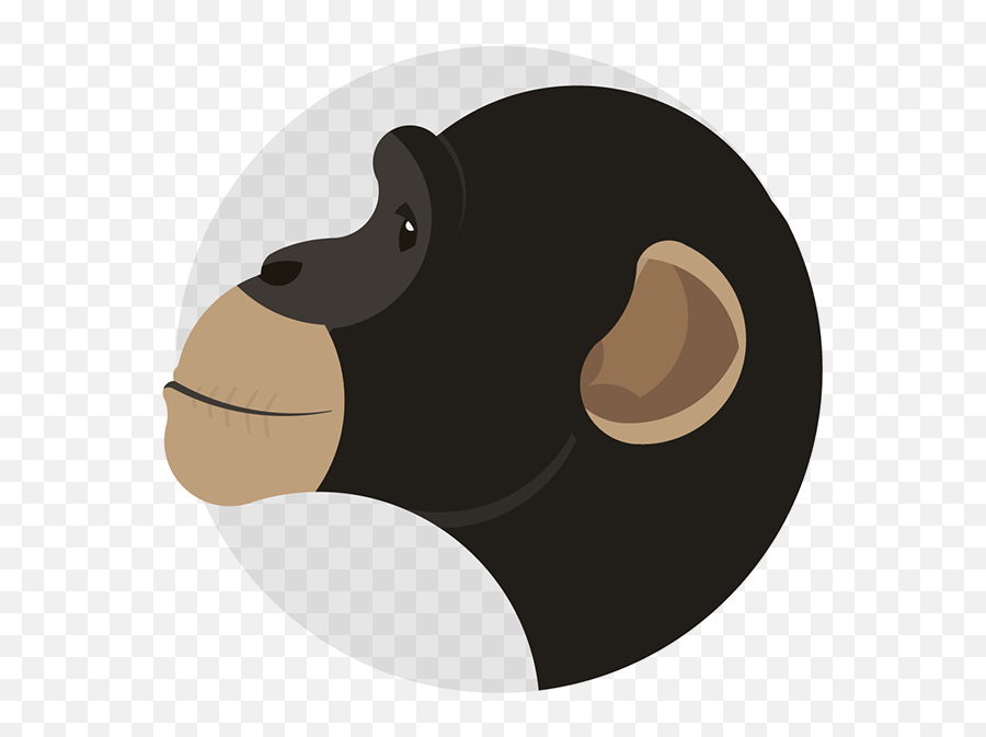 Animal Icon Set - Old World Monkeys Png,Woodpecker Icon