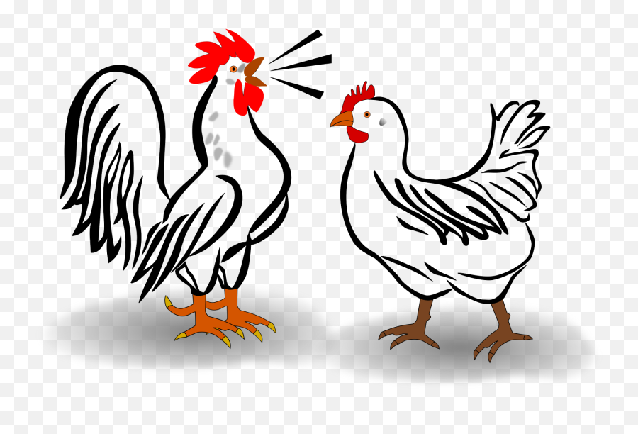 Cute Chicken Clipart Png - Rooster And Hen Clipart,Chicken Png