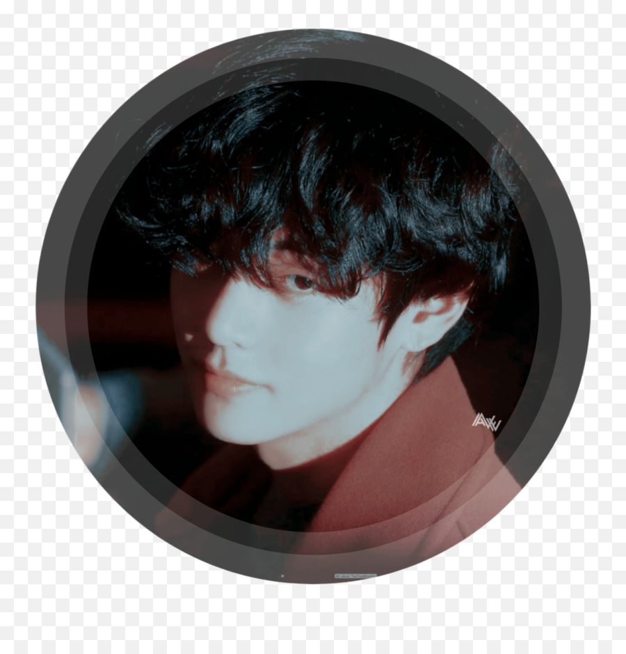 Kpop Profiles Idols Korean Boybands And Girlbands - Taehyung Bts Circle Icons Png,Jimin Icon Tumblr