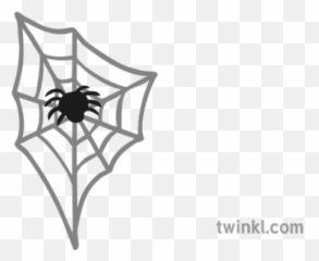 Cobweb 04 Illustration - Twinkl Back Of Astronaut Drawing png