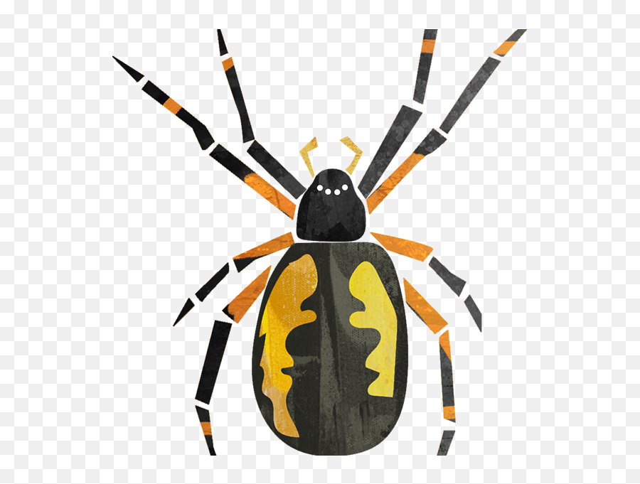 Araneus Cavaticus Transparent Png Spiderpig Icon