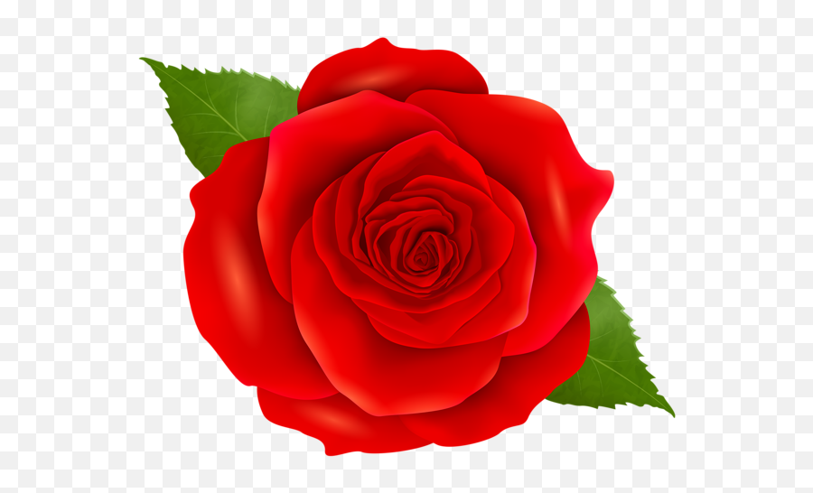 Red Rose Transparent Clip Art - Blue Rose Png,Red Rose Transparent