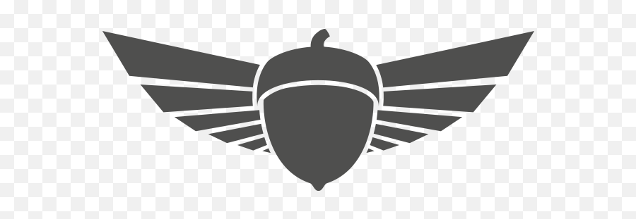 Shop - Rentwingsuitequipment Squirrel Ws Logo Png,Wingsuit Icon Circle