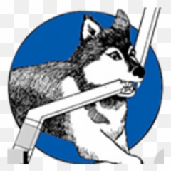 Howard Huskies Hockey Club Search For Activities Events - Logo png