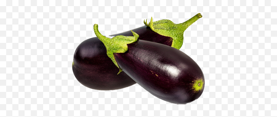 Eggplant Png Free File Download - Vegetables Start With Letter B,Eggplant Png