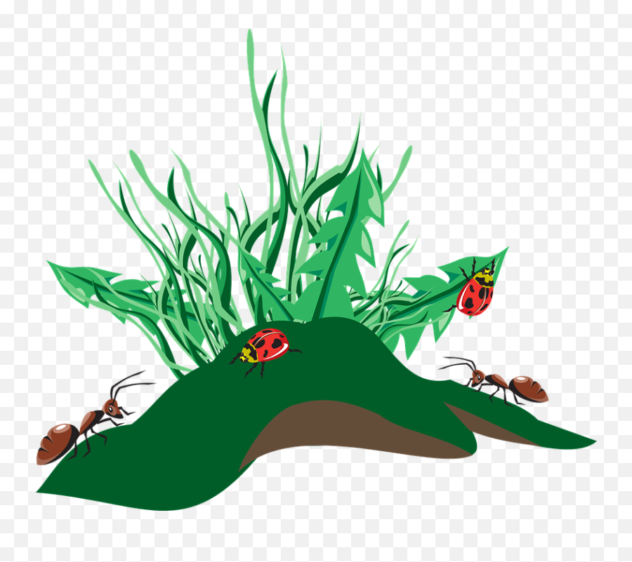 Grass Insects Dirt - Ants Clip Art Png,Weeds Png