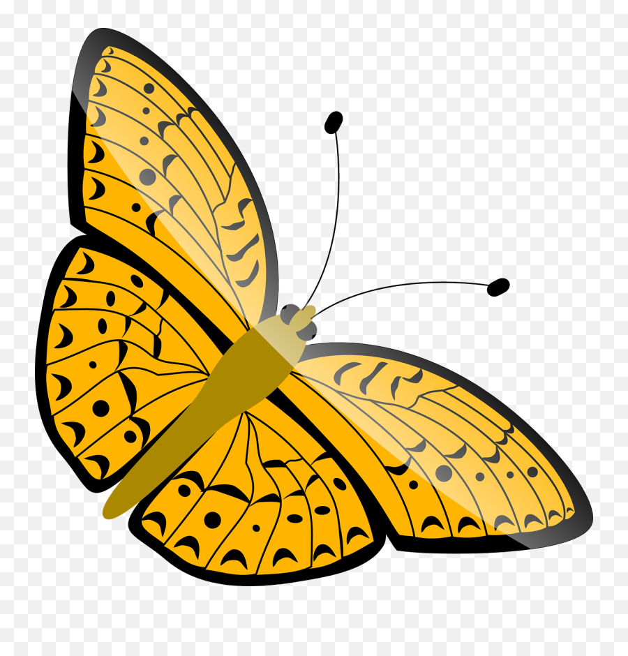 Free Pictures Insect - 2012 Images Found Png,Purple Butterfly Png