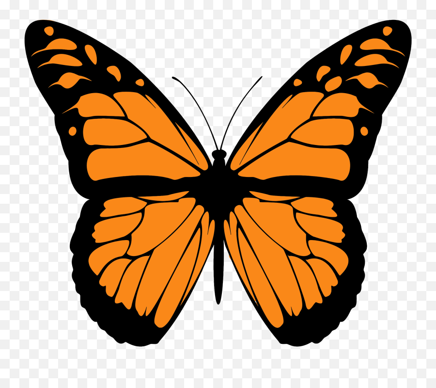 Monarch Butterfly Png High - Clipart Monarch Butterfly Png,Monarch Butterfly Png
