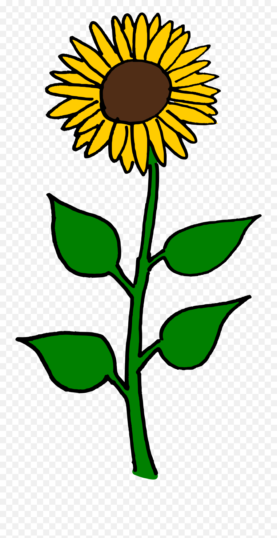 Sunflower - Flowerfreepngtransparentimagesfreedownload Sun Flower Clip Art Png,Sunflowers Transparent Background