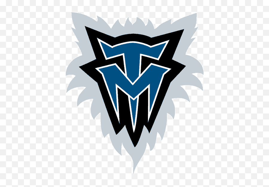 The Best And Worst Nba Logos - Minnesota Timberwolves Png,All Nba Logos