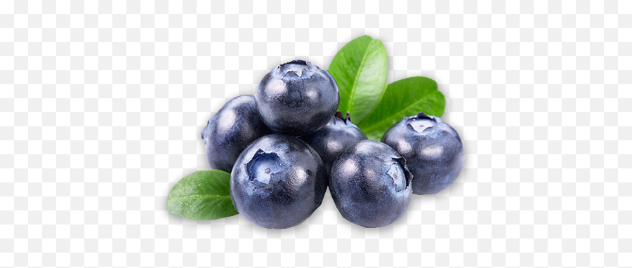 Png Background - Blueberry Png Free,Blueberries Png