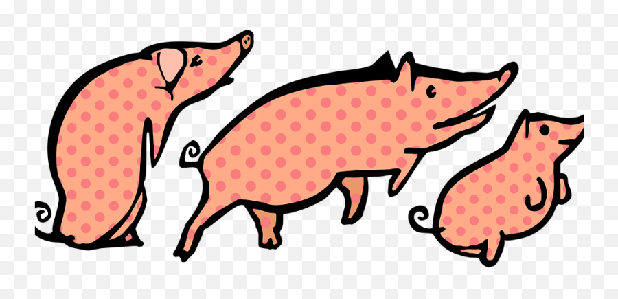 Pigs Polka Dots Animals - Domestic Pig Png,Pigs Png