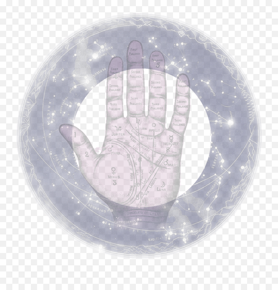 Psy Palm Reading Sarah White - Hand Png,Psy Png