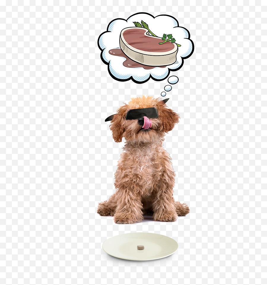 Ditch The Itch - Dog Png,Dogs Transparent